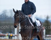 Dahila della Verdina Tosc Tour2013- S5 1773 : Arezzo, Cavalli d'Italia, Dahila della Verdina, Toscana Tour 2013, foto di Stefano Secchi ©